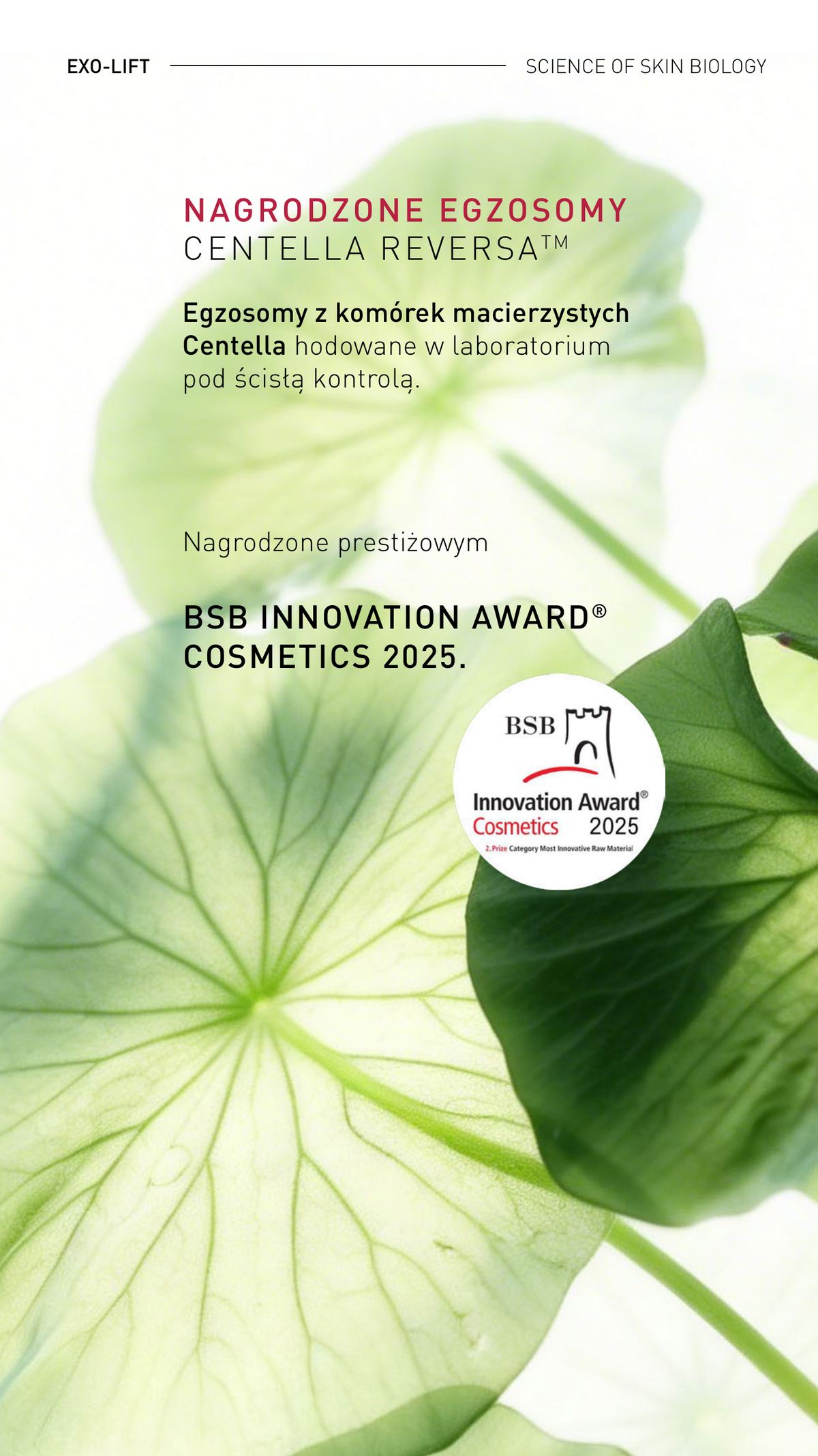 Egzosomy Centella Reversa – nagroda BSB Innovation Award Cosmetics 2025